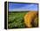 Hay Bales near Bottineau, North Dakota, USA-Chuck Haney-Framed Premier Image Canvas