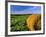 Hay Bales near Bottineau, North Dakota, USA-Chuck Haney-Framed Photographic Print