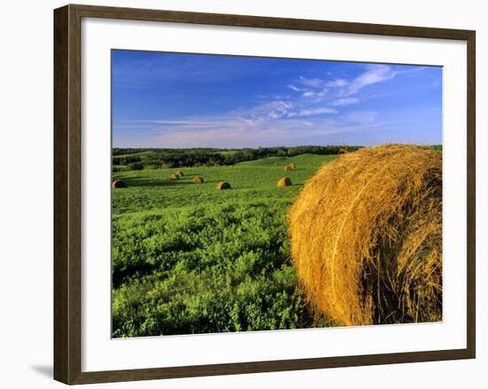 Hay Bales near Bottineau, North Dakota, USA-Chuck Haney-Framed Photographic Print