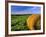 Hay Bales near Bottineau, North Dakota, USA-Chuck Haney-Framed Photographic Print