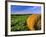 Hay Bales near Bottineau, North Dakota, USA-Chuck Haney-Framed Photographic Print