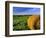 Hay Bales near Bottineau, North Dakota, USA-Chuck Haney-Framed Photographic Print