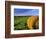 Hay Bales near Bottineau, North Dakota, USA-Chuck Haney-Framed Photographic Print