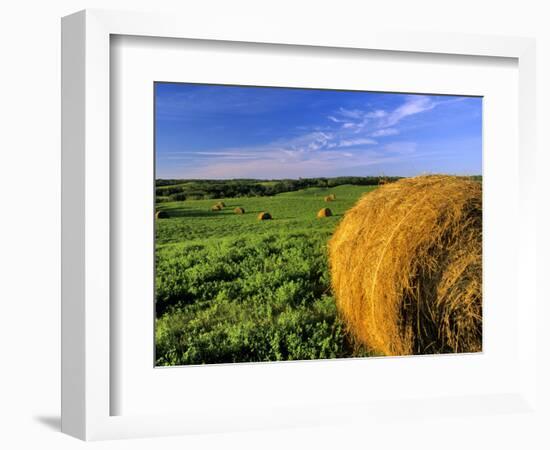 Hay Bales near Bottineau, North Dakota, USA-Chuck Haney-Framed Photographic Print