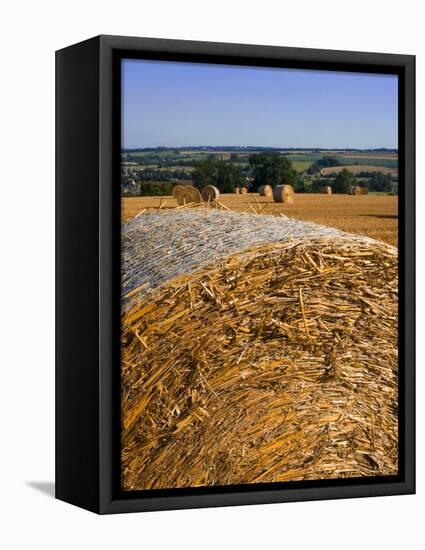 Hay Bales, Seen from the Cotswolds Way Footpath, the Cotswolds, Gloucestershire, England-David Hughes-Framed Premier Image Canvas