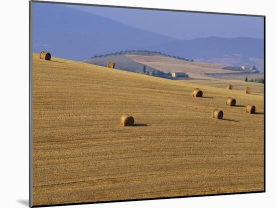 Hay Bales, Val d'Orcia, Siena Province, Tuscany, Italy, Europe-Sergio Pitamitz-Mounted Photographic Print