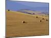 Hay Bales, Val d'Orcia, Siena Province, Tuscany, Italy, Europe-Sergio Pitamitz-Mounted Photographic Print