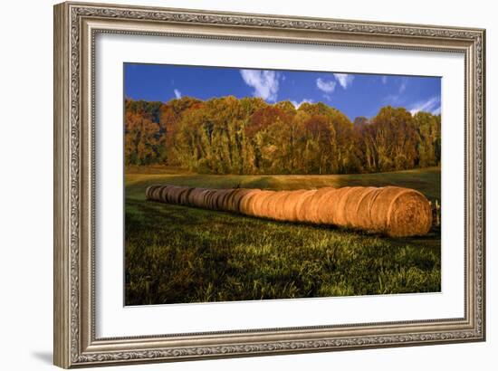 Hay Bales-Robert Lott-Framed Art Print