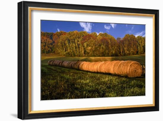 Hay Bales-Robert Lott-Framed Art Print