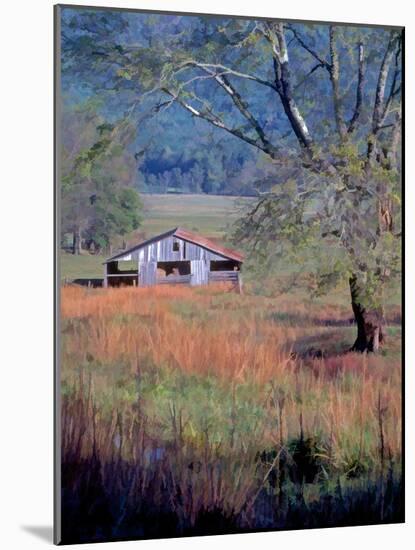 Hay Barn-J.D. Mcfarlan-Mounted Photographic Print