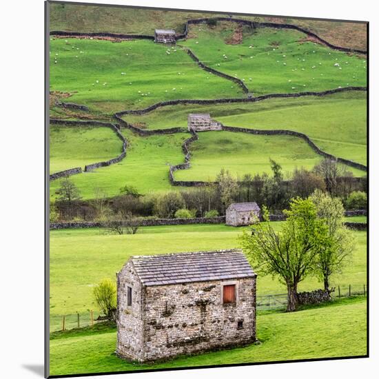 Hay Barns, Muker, Swaledale, Yorkshire Dales, Yorkshire, England, United Kingdom, Europe-Bill Ward-Mounted Photographic Print