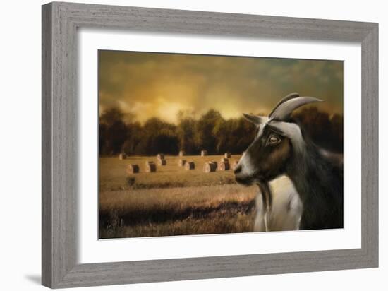 Hay Buffet-Jai Johnson-Framed Giclee Print