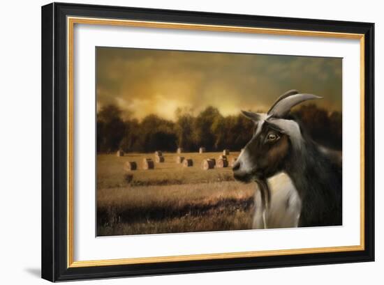 Hay Buffet-Jai Johnson-Framed Giclee Print