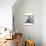 Hay Derrick-Dorothea Lange-Premium Giclee Print displayed on a wall