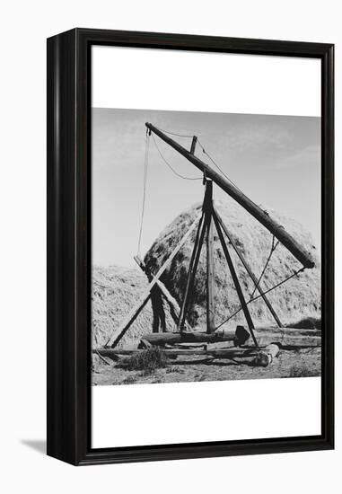 Hay Derrick-Dorothea Lange-Framed Stretched Canvas