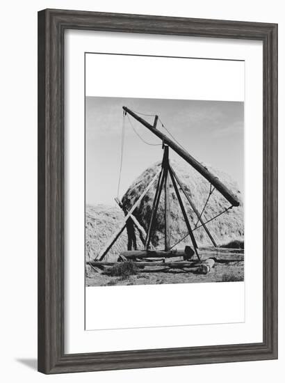 Hay Derrick-Dorothea Lange-Framed Art Print