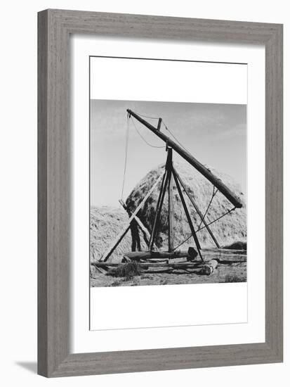 Hay Derrick-Dorothea Lange-Framed Art Print