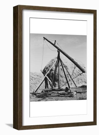 Hay Derrick-Dorothea Lange-Framed Art Print