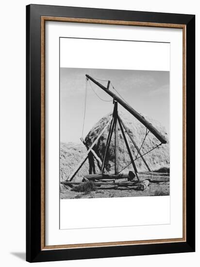 Hay Derrick-Dorothea Lange-Framed Art Print