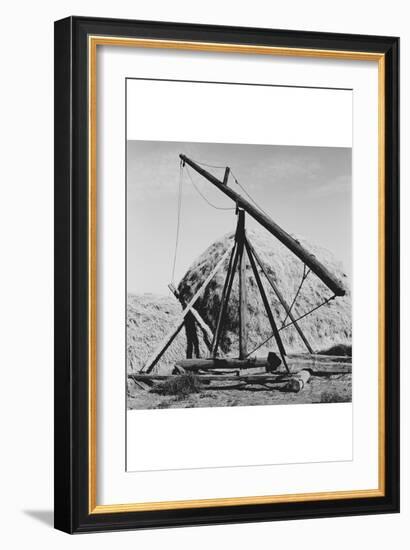 Hay Derrick-Dorothea Lange-Framed Art Print