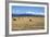 Hay Field in the Landscape, Patagonia, Argentina-Peter Groenendijk-Framed Photographic Print