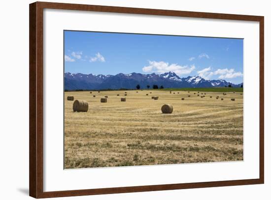 Hay Field in the Landscape, Patagonia, Argentina-Peter Groenendijk-Framed Photographic Print