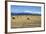 Hay Field in the Landscape, Patagonia, Argentina-Peter Groenendijk-Framed Photographic Print