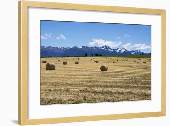 Hay Field in the Landscape, Patagonia, Argentina-Peter Groenendijk-Framed Photographic Print