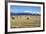 Hay Field in the Landscape, Patagonia, Argentina-Peter Groenendijk-Framed Photographic Print