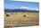Hay Field in the Landscape, Patagonia, Argentina-Peter Groenendijk-Mounted Photographic Print
