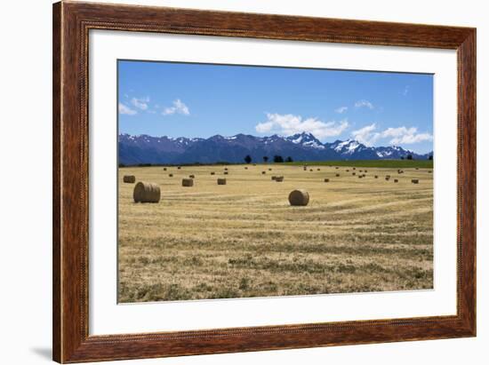 Hay Field in the Landscape, Patagonia, Argentina-Peter Groenendijk-Framed Photographic Print