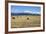 Hay Field in the Landscape, Patagonia, Argentina-Peter Groenendijk-Framed Photographic Print