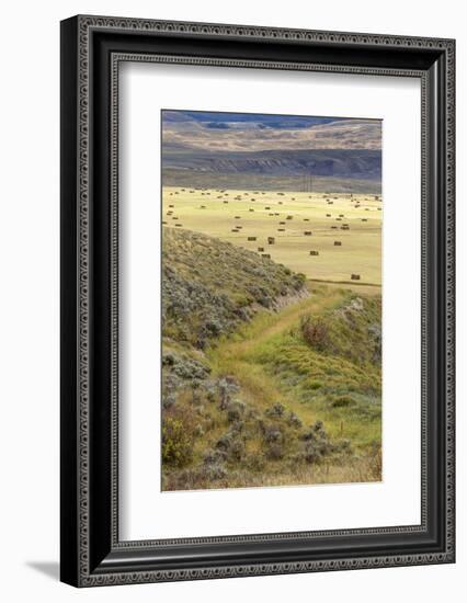 Hay Fields, Colorado Mountains-Maresa Pryor-Framed Photographic Print