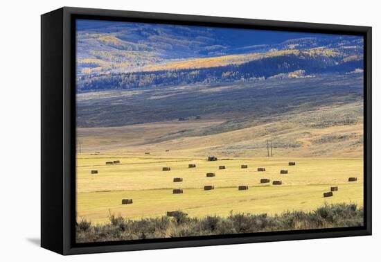 Hay Fields Outside of Steamboat Springs, Colorado-Maresa Pryor-Framed Premier Image Canvas