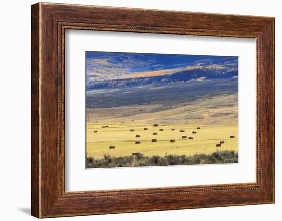 Hay Fields Outside of Steamboat Springs, Colorado-Maresa Pryor-Framed Photographic Print