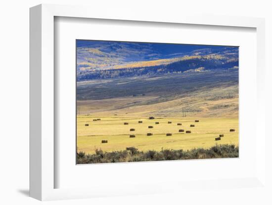 Hay Fields Outside of Steamboat Springs, Colorado-Maresa Pryor-Framed Photographic Print