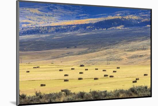 Hay Fields Outside of Steamboat Springs, Colorado-Maresa Pryor-Mounted Photographic Print