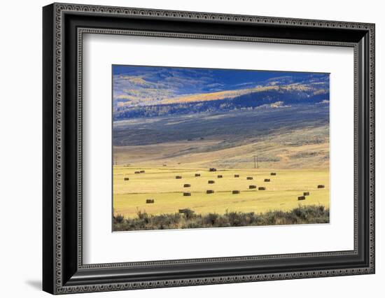 Hay Fields Outside of Steamboat Springs, Colorado-Maresa Pryor-Framed Photographic Print