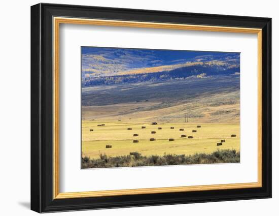 Hay Fields Outside of Steamboat Springs, Colorado-Maresa Pryor-Framed Photographic Print