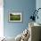 Hay Meadow In Slovenia-Bob Gibbons-Framed Photographic Print displayed on a wall