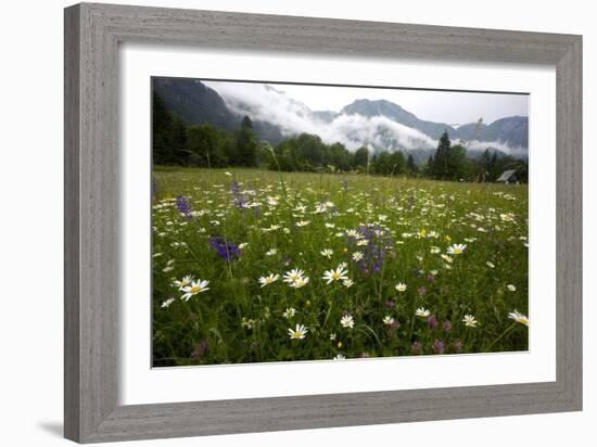 Hay Meadow In Slovenia-Bob Gibbons-Framed Photographic Print