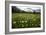 Hay Meadow In Slovenia-Bob Gibbons-Framed Photographic Print