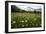 Hay Meadow In Slovenia-Bob Gibbons-Framed Photographic Print