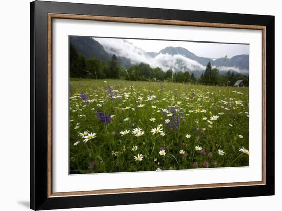 Hay Meadow In Slovenia-Bob Gibbons-Framed Photographic Print
