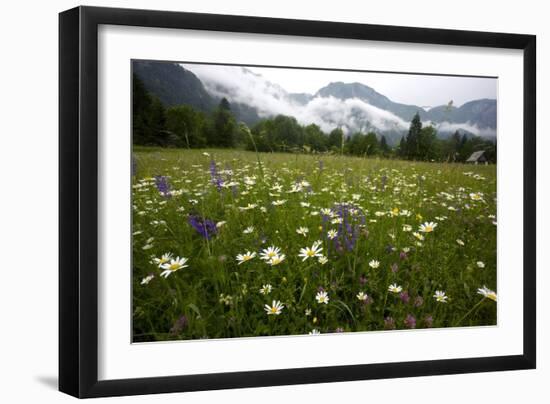 Hay Meadow In Slovenia-Bob Gibbons-Framed Photographic Print