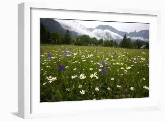 Hay Meadow In Slovenia-Bob Gibbons-Framed Photographic Print