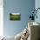 Hay Meadow In Slovenia-Bob Gibbons-Mounted Photographic Print displayed on a wall