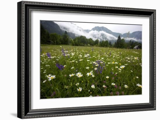 Hay Meadow In Slovenia-Bob Gibbons-Framed Photographic Print