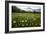 Hay Meadow In Slovenia-Bob Gibbons-Framed Photographic Print