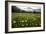 Hay Meadow In Slovenia-Bob Gibbons-Framed Photographic Print